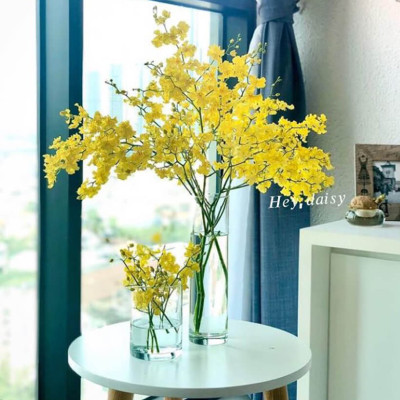 Set 2kg Dung Dịch Xử Lý Hoa Lan Vũ Nữ Tươi Lâu Longlife SG Israel - Food For Cut Flower (1kg pha được 100L dung dịch) là dung dịch trong TIP Nhựa bảo quản Hoa Lan Vũ Nữ cắt cành tươi lâu