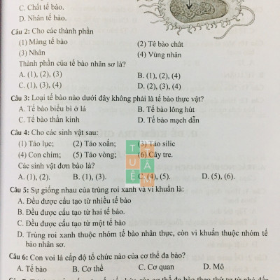 Sách - Đề kiểm tra Khoa học tự nhiên 6 (Kết nối tri thức với cuộc sống)