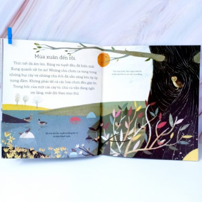 Một Năm Bận Rộn Của Các Bạn Sóc 