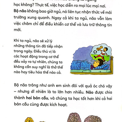 Pixi thông thái - Bí kíp học tập
