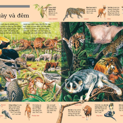 Thử Tài Tìm Kiếm - Động Vật (Tái Bản 2023)