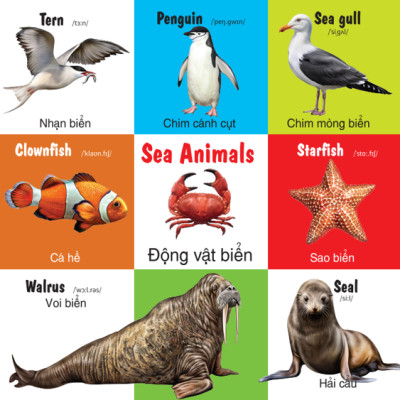 Sách - 100 Từ Đầu Tiên - Các Loài Động Vật - Song Ngữ (VT)