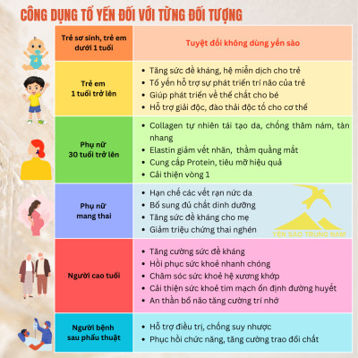 Tổ Yến Sào Tinh Chế (5 Tổ/40g/Hộp) (Tổ Yến làm sạch/Tổ Yến Sạch chế biến từ Tổ Yến Thô /Tổ Yến còn lông) Yến Sào Trung Nam