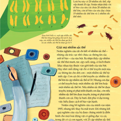 Nhà Khoa Học - Những Câu Chuyện Truyền Cảm Hứng Từ Những Nhà Khoa Học Lỗi Lạc Nhất Thế Giới - Bìa Cứng