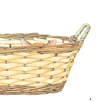 Sách - Sách Ehon - Ú Òa! - Mèo Đâu Rồi? - Bìa Cứng