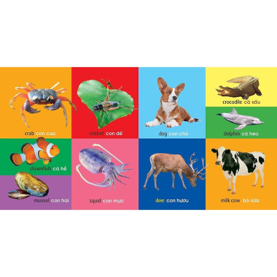 Sách 101 Từ đầu tiên Động Vật - Minh Long