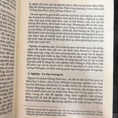 Tổng Quan Về Nghiệp (Tuệ Sỹ)