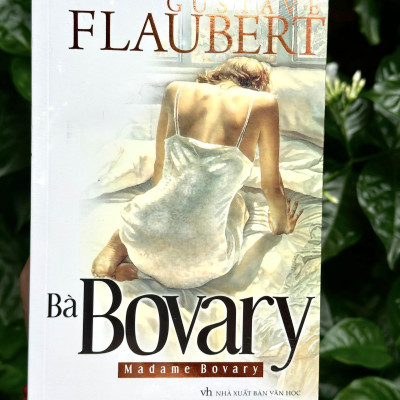 Sách- Bà Bovary- Tiểu Thuyết- 2HBooks