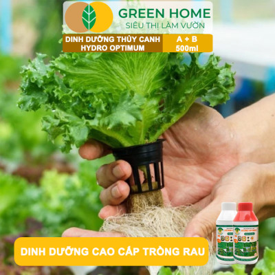 Dung Dịch Thủy Canh Hydro Optimum, GreenHome, Bộ 2 chai 500ml, Dinh Dưỡng Thủy Canh Rau Ăn Lá, Hữu Cơ