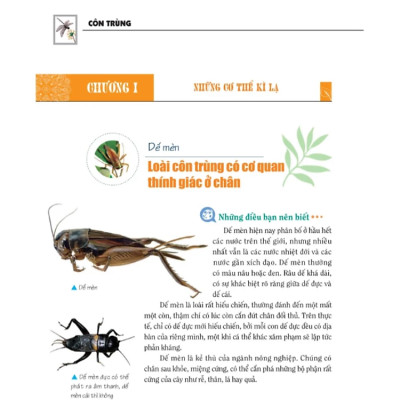 Khám Phá Bí Ẩn Thế Giới Tự Nhiên - Dành Cho Học Sinh