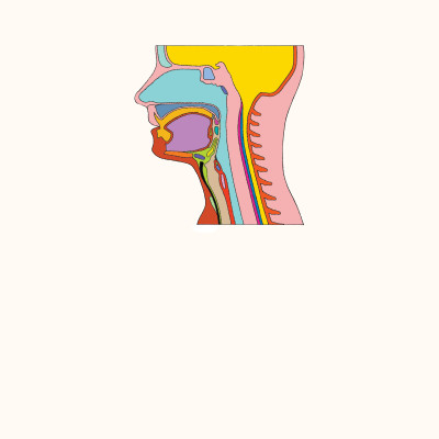 BÁCH KHOA TRI THỨC - KHÁM PHÁ CƠ THỂ NGƯỜI