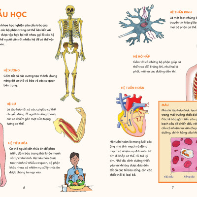 BÁCH KHOA TRI THỨC - KHÁM PHÁ CƠ THỂ NGƯỜI