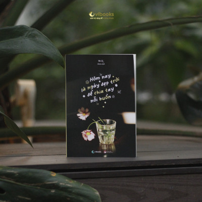 Sách - Hôm Nay Là Ngày Đẹp Trời Để Chia Tay Nỗi Buồn - Song Ngữ Việt-Trung