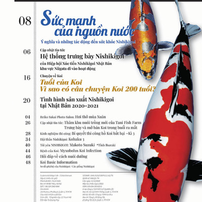 Cá Koi Vietnam - Tập 8