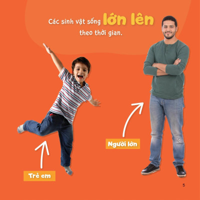 Sách Sự Sinh Trưởng Kỳ Diệu Của Vạn Vật - Vòng Đời Của Bướm