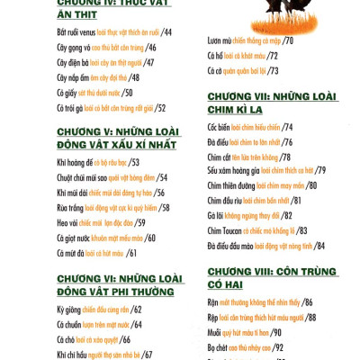 Khám Phá Bí Ẩn Thế Giới Tự Nhiên Dành Cho Học Sinh : Sinh Vật _ML