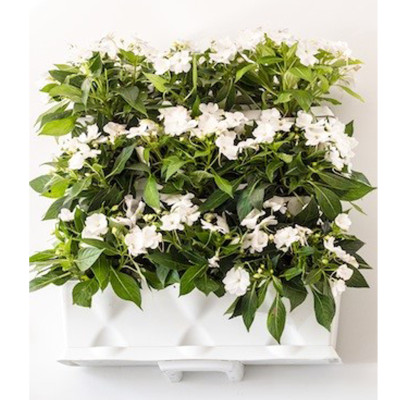 KHUNG TRỒNG RAU SẠCH ĐỨNG TẠI NHÀ CỦA CHÂU ÂU (3 khung xếp chồng lên nhau với 9 lỗ trồng và 1 khay chứa nước) dễ dàng lắp đặt và di chuyển. Không kèm hệ thống tưới nhỏ giọt