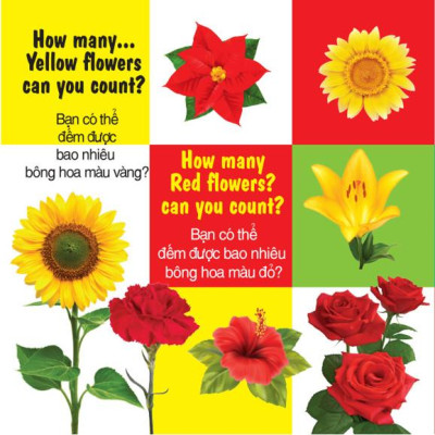 100 Từ Đầu Tiên - Số Đếm - Song Ngữ (VT)