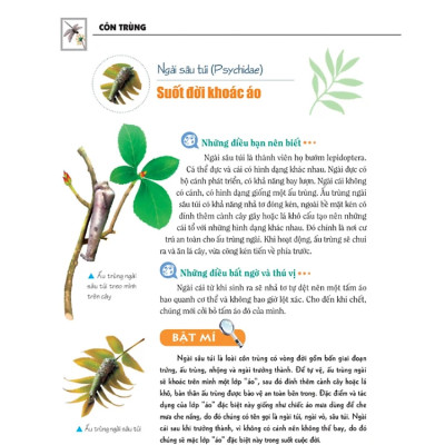 Khám Phá Bí Ẩn Thế Giới Tự Nhiên - Dành Cho Học Sinh