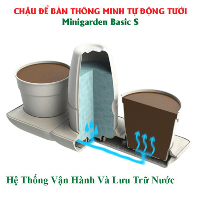 Chậu trồng rau sạch tự động tưới nước và tự chăm sóc rau tại nhà trong 2 tháng Minigarden Basic S (1 bộ gồm 2 chậu S, 1 khay hứng nước, 1 bình chứa nước và phân)
