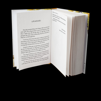 Sách May Mắn Có Những Phiền Não - Sách tôn giáo, nghệ thuật văn hóa, tác giả KHENPO SODARGYE - Hiệu Sách GenBooks, bìa mềm, in màu