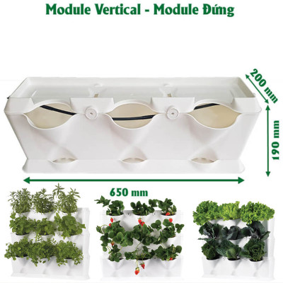Chậu Trồng Cây Đứng Nhập Khẩu Châu Âu áp tường dạng tường xanh thẳng đứng hiệu Minigarden Vertical (Trọn bộ 3 SET + 1 KHAY nước)