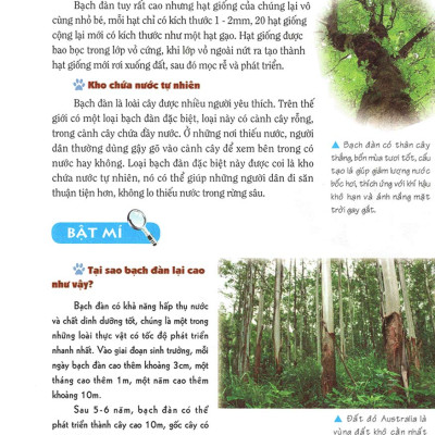 Khám Phá Bí Ẩn Thế Giới Tự Nhiên Dành Cho Học Sinh : Sinh Vật _ML