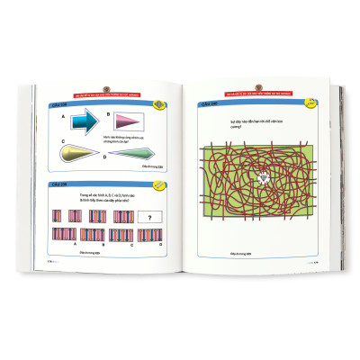 Combo 2 Cuốn 300 Câu Đố và 300 Trò Chơi Tư Duy Của Sinh Viên Trường Đại Học Harvard