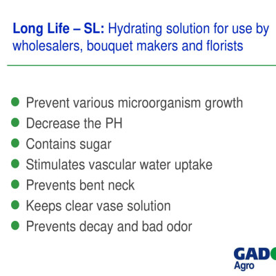 Nước cắm hoa lâu tàn (Set 100 gói) dạng bột nhập khẩu Israel Food For CUT Flowers mỗi gói tạo ra 0.5L dung dịch xử lý hoa cắm bình