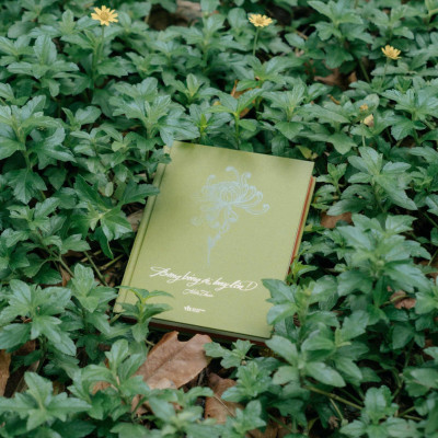 Sách - Bong Bóng Ơi, Bay Lên! - Bìa Cứng