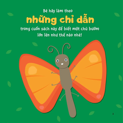 Sách Sự Sinh Trưởng Kỳ Diệu Của Vạn Vật - Vòng Đời Của Bướm