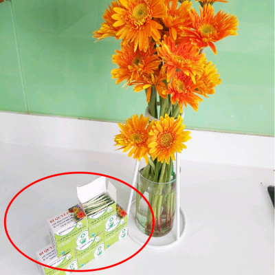 Nước Cắm Hoa Đồng Tiền Lâu Tàn (Set 80 gói dạng bột) nhập khẩu Israel - Food For CUT Flowers giúp hoa tươi lâu hơn, ngăn "gãy cổ" hoa và hạn chế thối nước