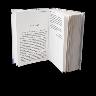 Chẳng Gì Khiến Ta Bận Lòng