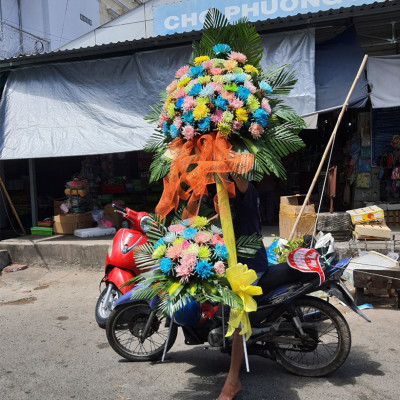 Dung Dịch Nhuộm Hoa Cắt Cành Đổi Màu (Combo 4 chai) theo Công Nghệ Israel giúp hoa nhuộm đổi màu theo ý muốn – The Color Sodium for Fresh Flowers