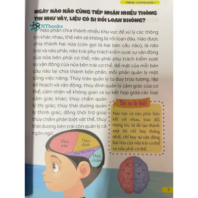 Sách 10 vạn câu hỏi vì sao - Não bộ - Vị chỉ huy tài ba