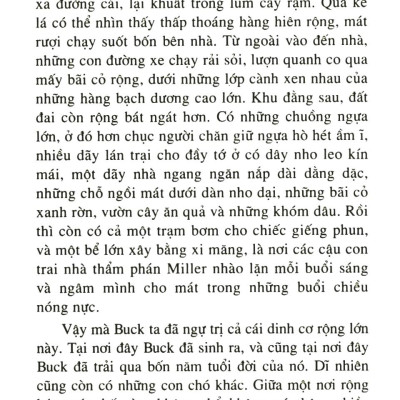 Sách - Tiếng gọi hoang dã - 2H Books