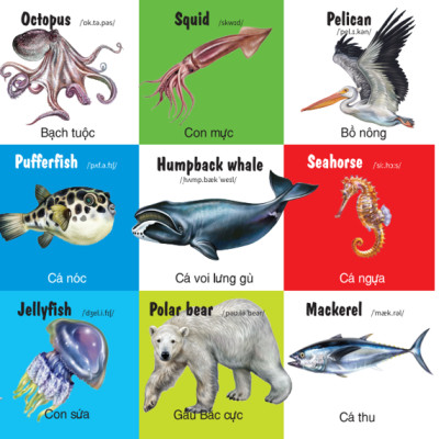 Sách - 100 Từ Đầu Tiên - Các Loài Động Vật - Song Ngữ (VT)