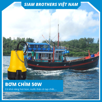 Máy bơm nước chìm BP-12V - 50W Siam Brothers