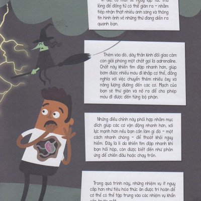 Có Gì Trước Big Bang