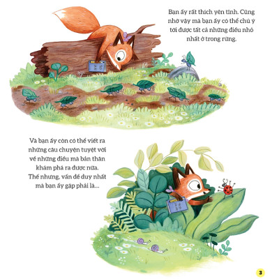 Câu Chuyện Nhỏ, Bài Học Hay