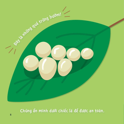 Sách Sự Sinh Trưởng Kỳ Diệu Của Vạn Vật - Vòng Đời Của Bướm