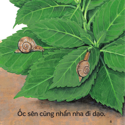 Sách - Sách Ehon - Ú Òa! - Ra Vườn Thôi! - Bìa Cứng