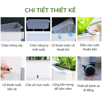 Kệ trồng rau tự tưới D202 MONROVIA cho rau, hoa, có bánh xe di chuyển thuận lợi