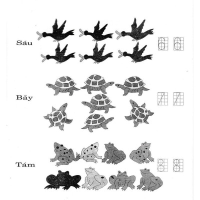 Sách - Bài Tập Cơ Bản Theo Chuyên Đề Toán Lớp 1 - Phạm Đình Thực - Hồng Ân