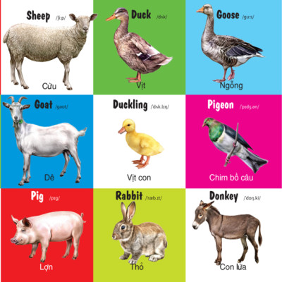 Sách - 100 Từ Đầu Tiên - Các Loài Động Vật - Song Ngữ (VT)