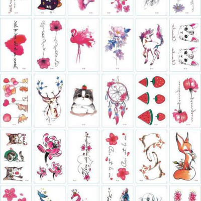 301 hình xăm dán Tatoo nữ tính hoạ tiết mèo bướm hoa lá  