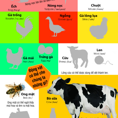 Dán Hình Nhận Biết Động Vật - Những Loài Vật Dễ Thương (Song Ngữ Việt-Anh)