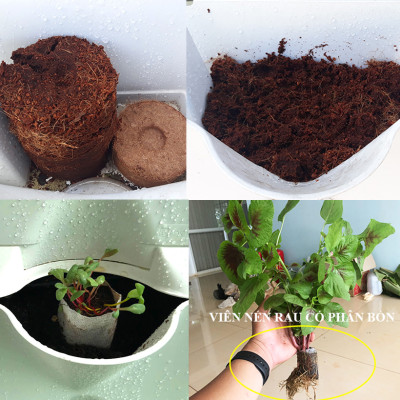 08 Chậu trồng rau thông minh Không thay đất Vertical (Màu Xanh) có tưới nhỏ giọt và bón phân Bán tự động nhập khẩu Bồ Đào Nha ( dành khu vực Không có vòi cấp)