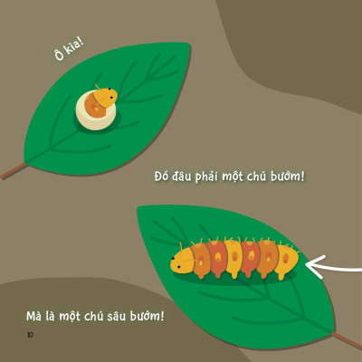 Sách Sự Sinh Trưởng Kỳ Diệu Của Vạn Vật - Vòng Đời Của Bướm