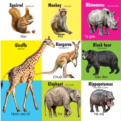 Sách - 100 Từ Đầu Tiên - Các Loài Động Vật - Song Ngữ (VT)